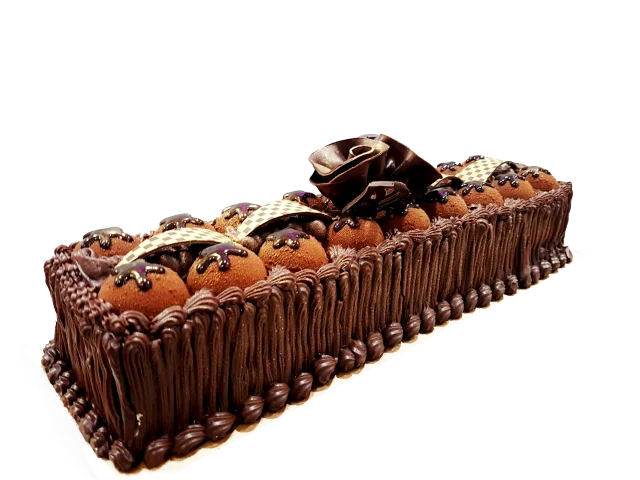 Premium Chocolate Dome Log
