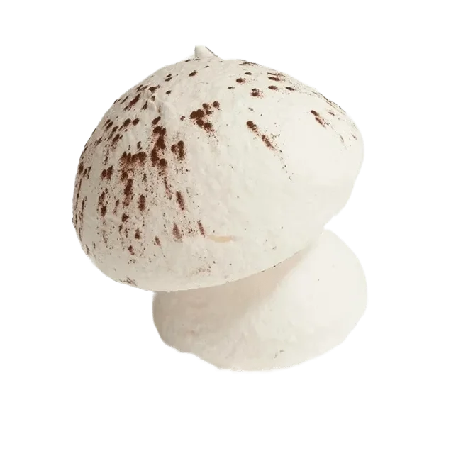 Meringue Mushrooms